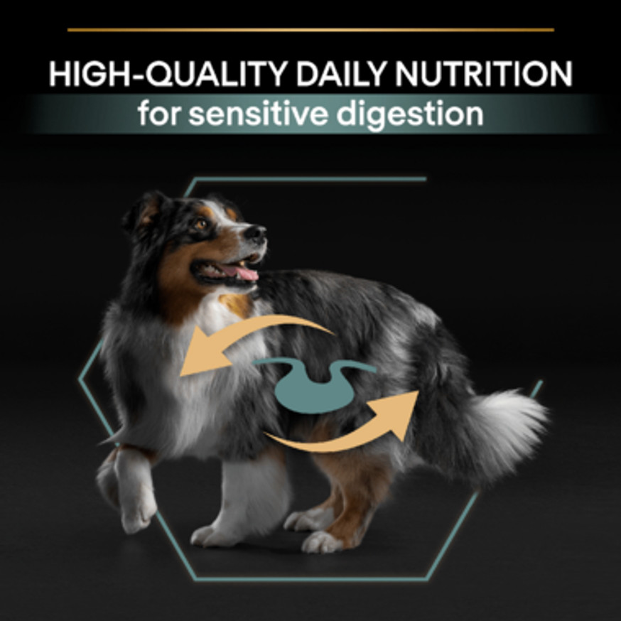Medium Adult Sensitive Digestion Lamb för hund