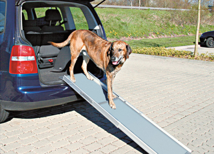 Teleskopisk Ramp för hund