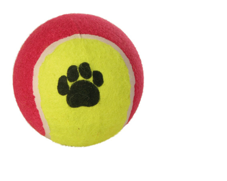 Tennisboll för hund