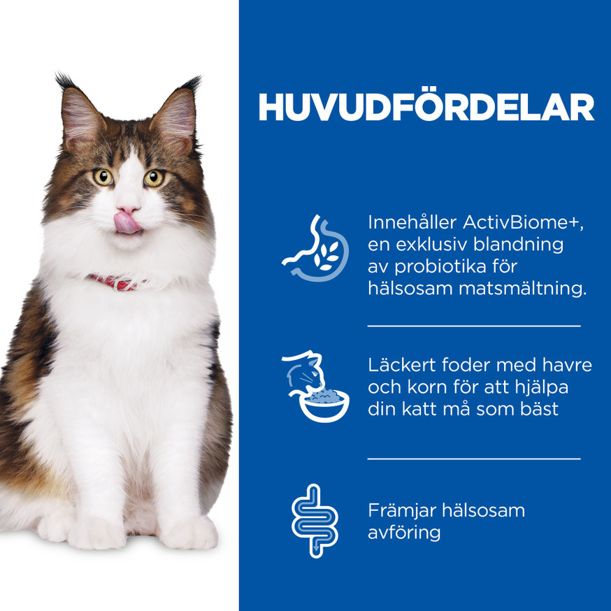 Perfect Digestion Adult med Kyckling & Råris för katt