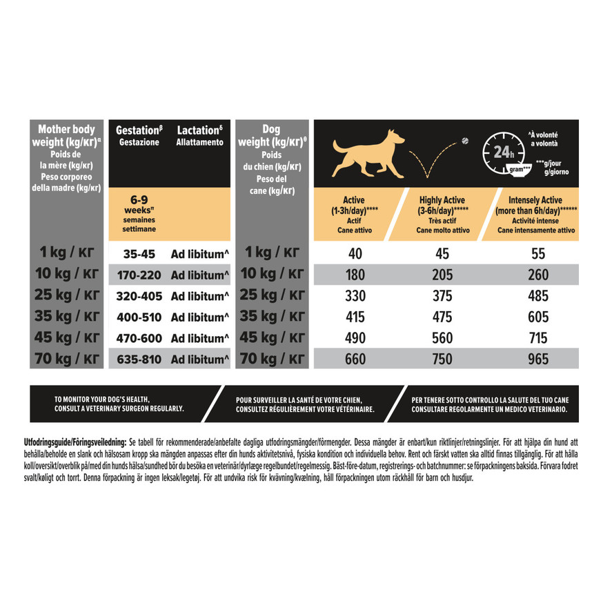 Adult Protein & Energy Chicken Hundfoder