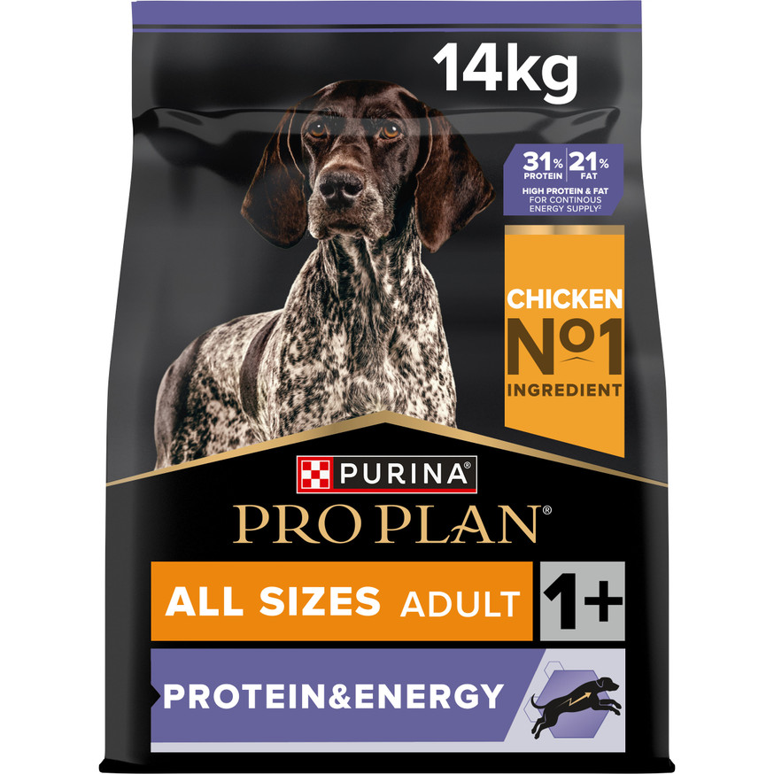 Adult Protein & Energy Chicken Hundfoder