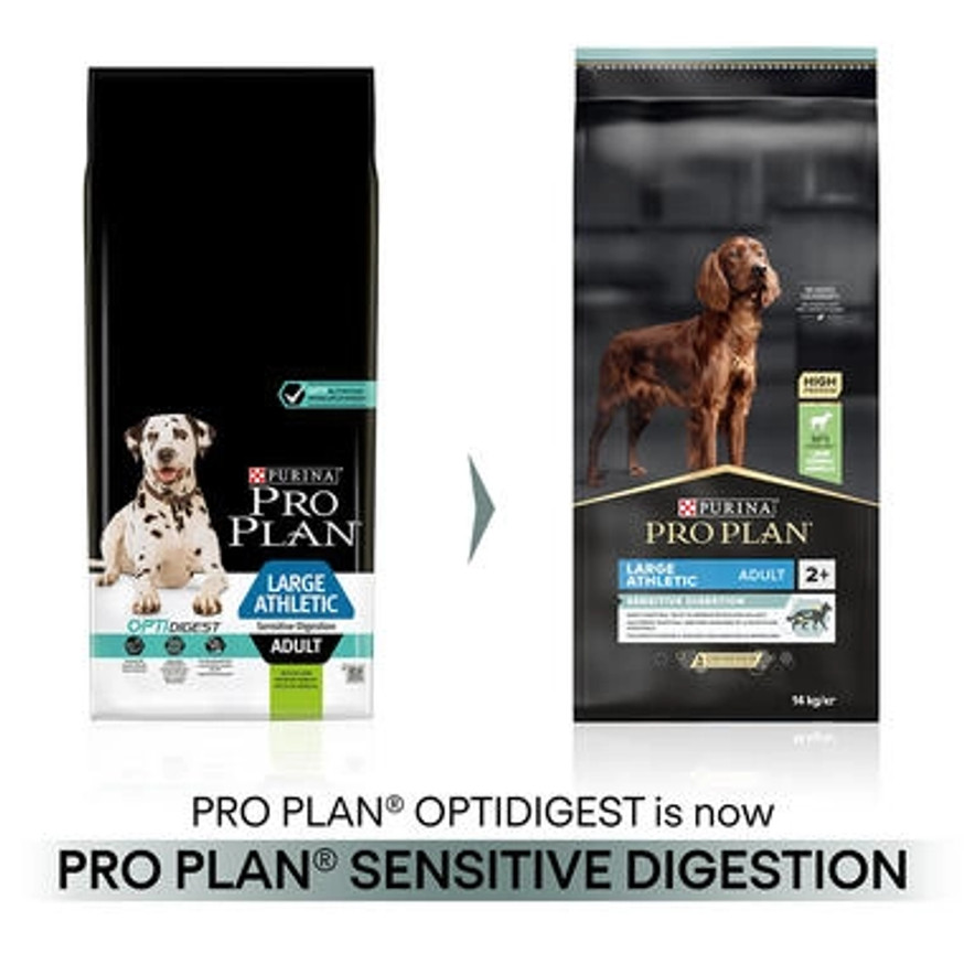 Large Athletic Adult Sensitive Digestion Lamb hundfoder