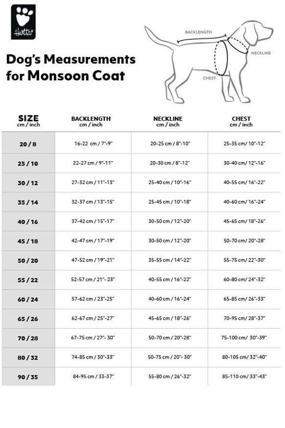 Monsoon Coat Buckthorn - Regnjacka