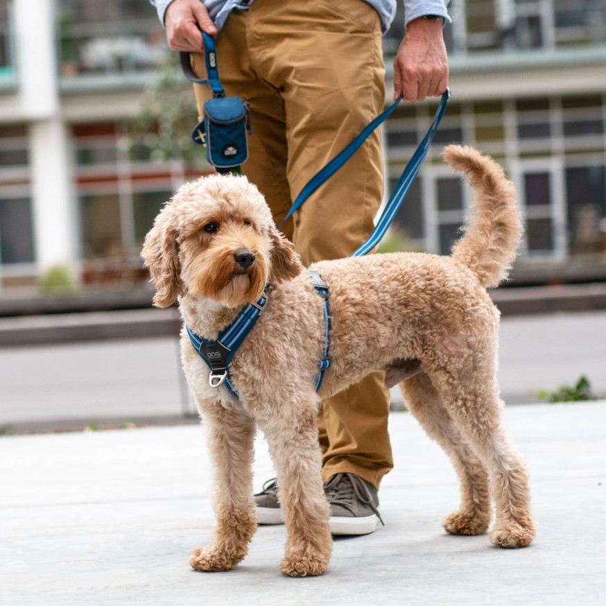 Comfort Walk Air Hundsele