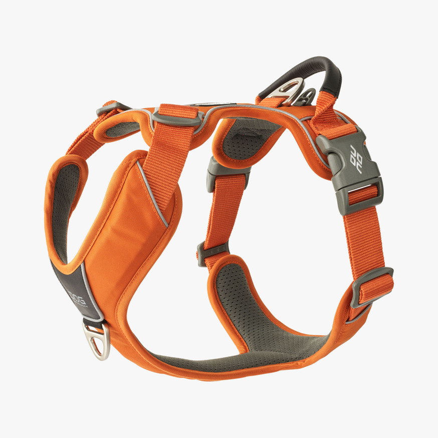 Comfort Walk Pro Hundsele - XS Orange Sun, S Orange Sun, M Orange Sun, L Orange Sun, XL Orange Sun