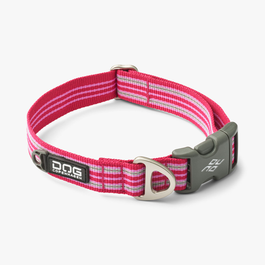 Urban Style Hundhalsband - S Wild Rose, M Wild Rose, L Wild Rose