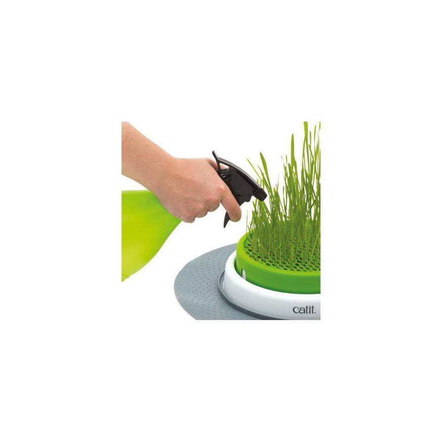 Senses 2.0 Grass Planter