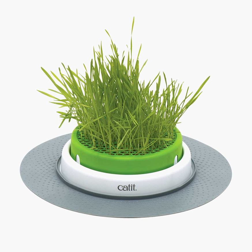 Senses 2.0 Grass Planter