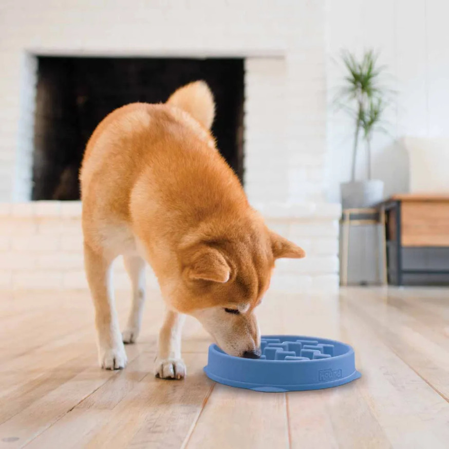 Slowfeed Hundmatskål Blå