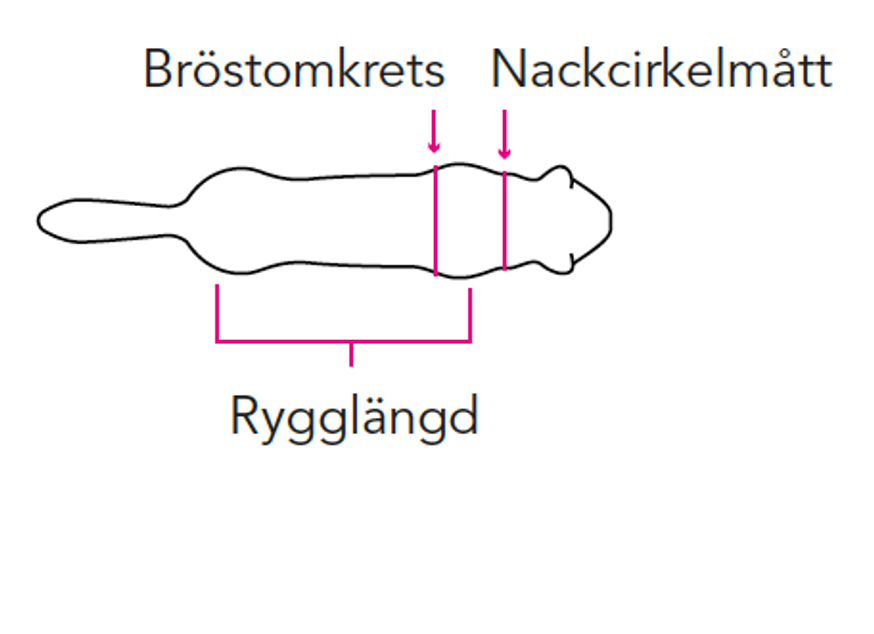 Operationsdräkt/skyddande body, Tik