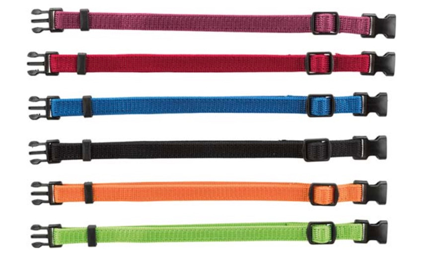 Valphalsband 6-pack Blandade Färger - S/M Färgmix 1, M/L Färgmix 1