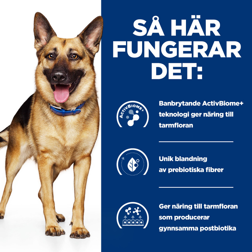 Presciption Diet Gastroinstestinal Biome Torrfoder till Hund med Kyckling