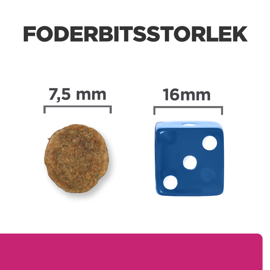 Presciption Diet Gastroinstestinal Biome Mini Hundfoder med Kyckling