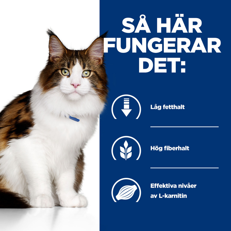 Prescription Diet w/d Multi-Benefit Torrfoder till Katt med Kyckling