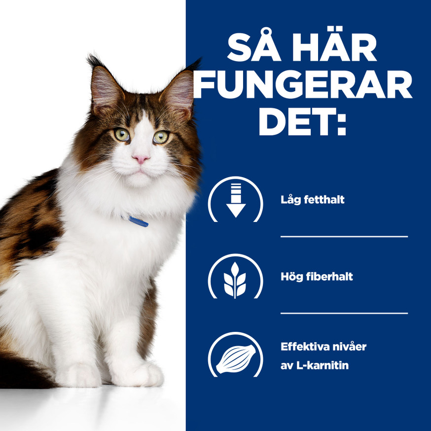Prescription Diet w/d Multi-Benefit Våtfoder i Burk till Katt