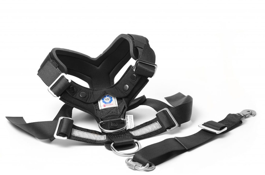 AllSafe Harness Krocktestad Bilsele