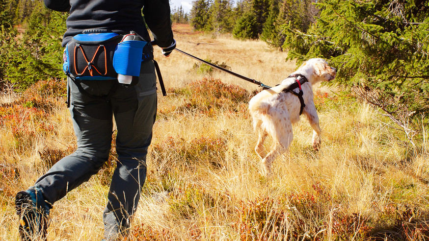 Ferd Belt Bag Vandringsväska