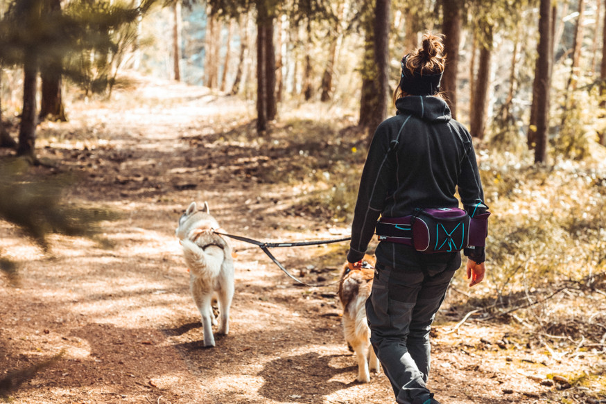 Trekking Belt Bag Vandringsväska