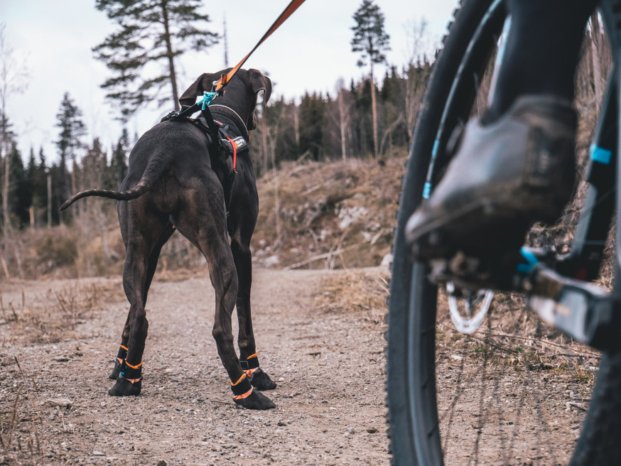 Protector Bootie Skyddande Hundstrumpa