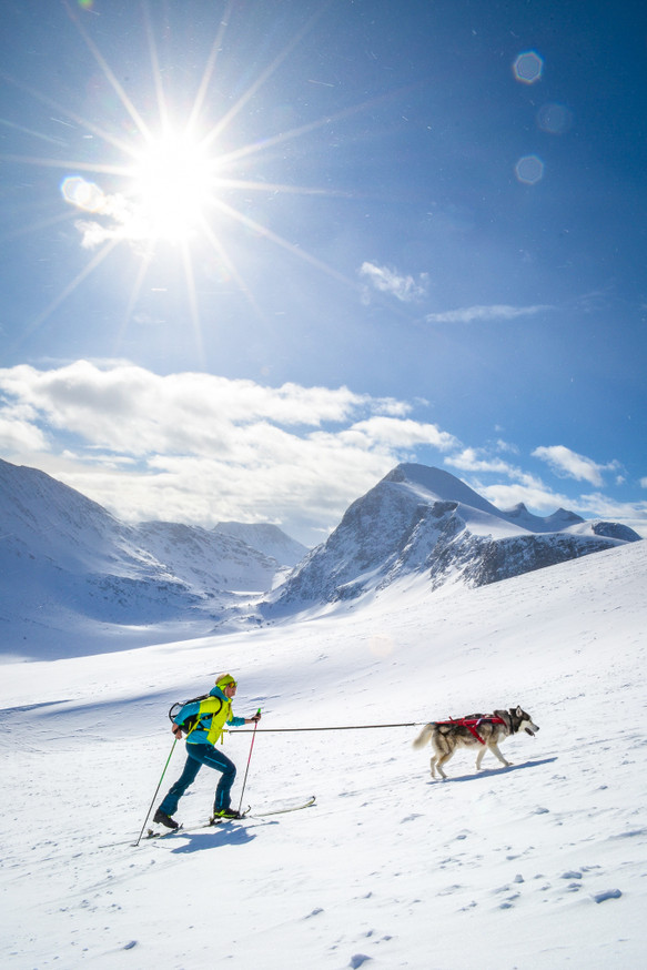 Combined Harness Hundsele till Pulka och Skidor