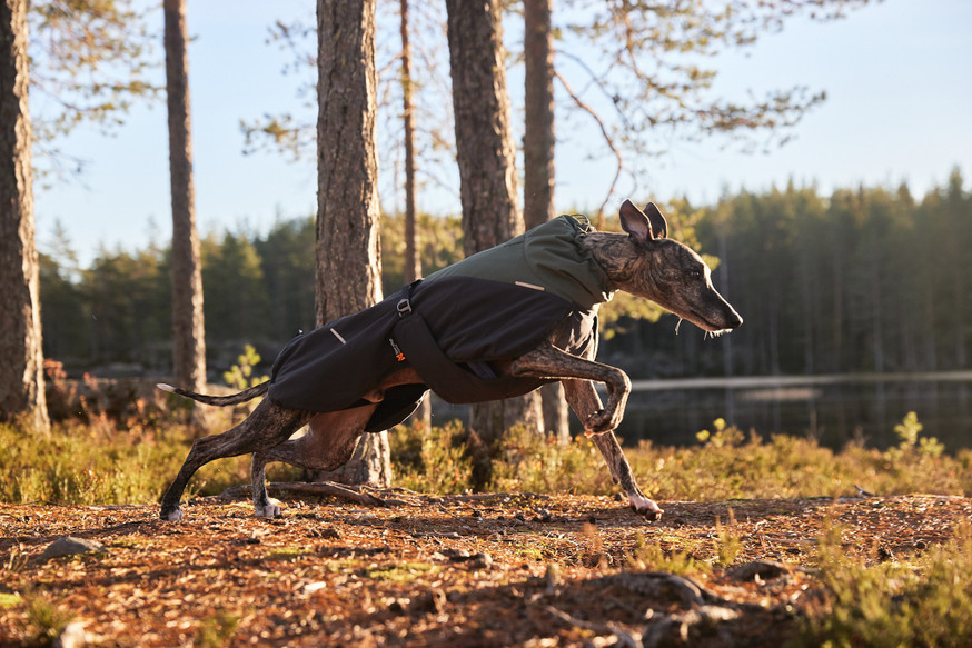 Glacier Wool Jacket 2.0 Grå/Grön