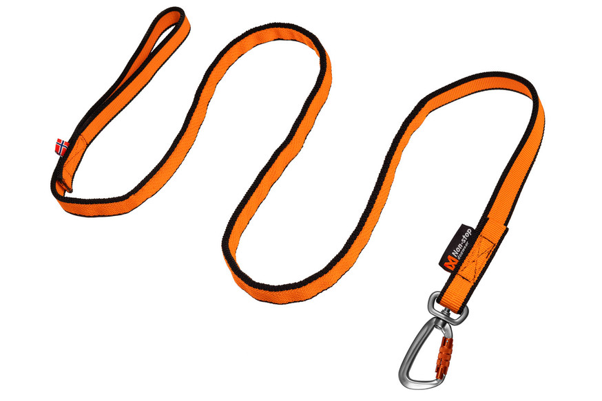 Bungee Leash