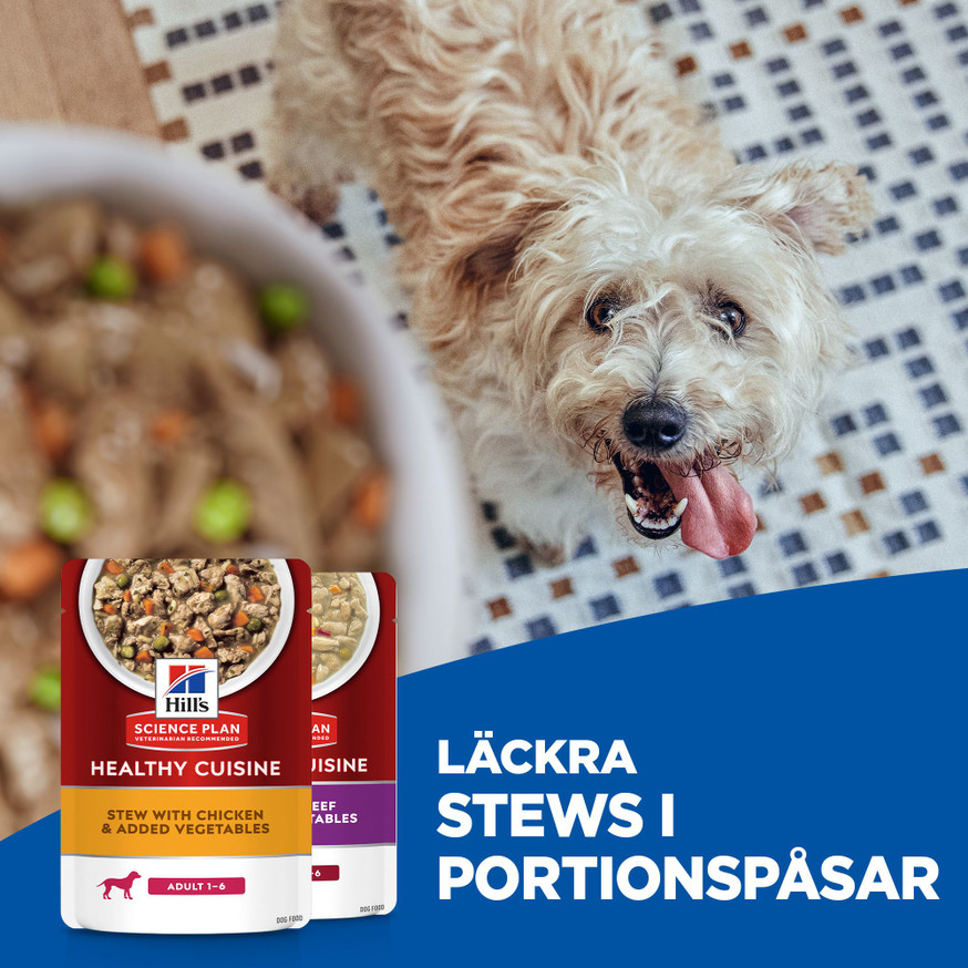 Healthy Cuisine Stew Våtfoder till Hund med Nötkött & Kyckling