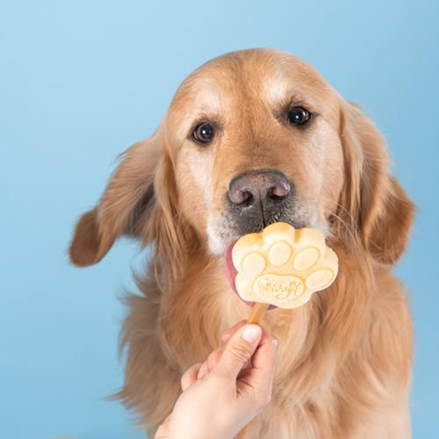 Dog Ice Cream Starter Kit