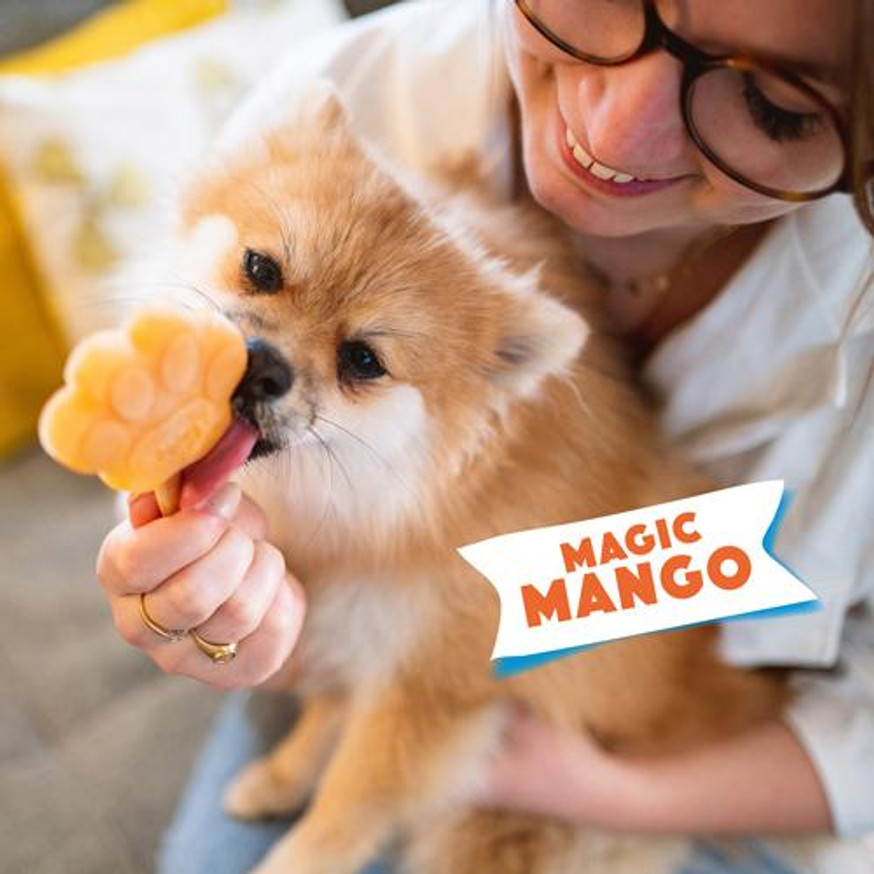 Dog Ice Mix Magic Mango