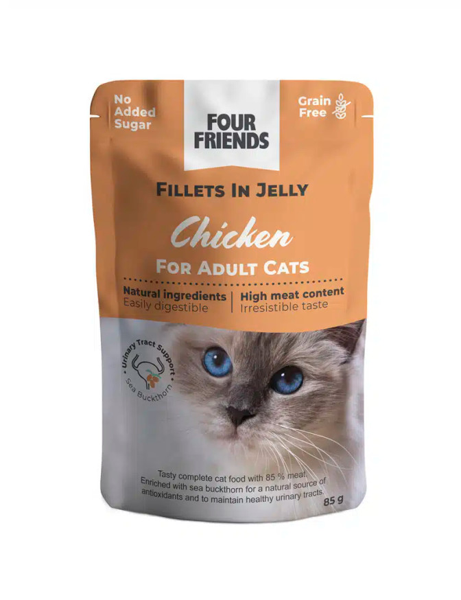 Adult Chicken in Jelly Pouch Kattfoder