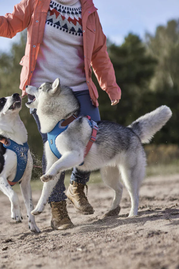 Weekend Warrior ECO - Värmande Hundsele