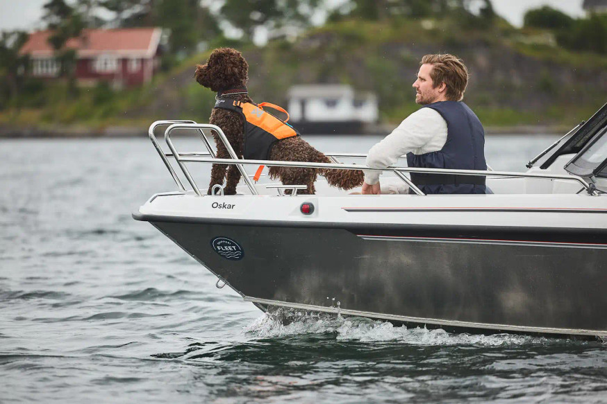 Projector Life Jacket Flytväst Hund