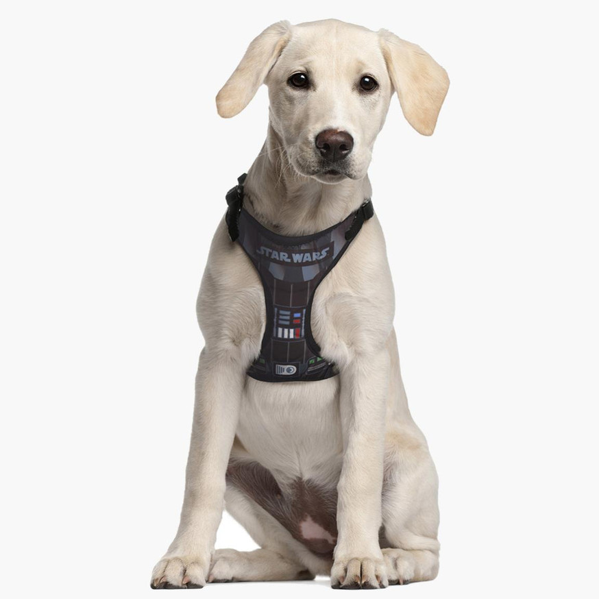 Star Wars Darth Vader Hundsele