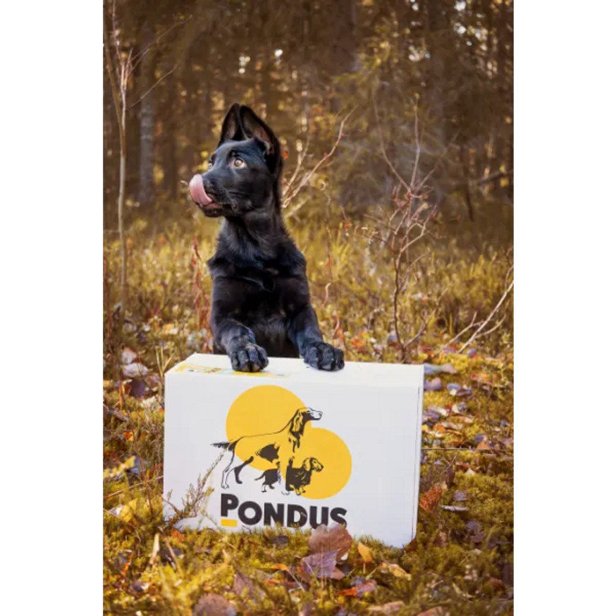 Pondus Original Svart Färskfoderkorv till Hund