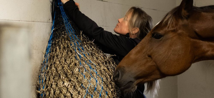 Slowfeeding Hönät till  Häst