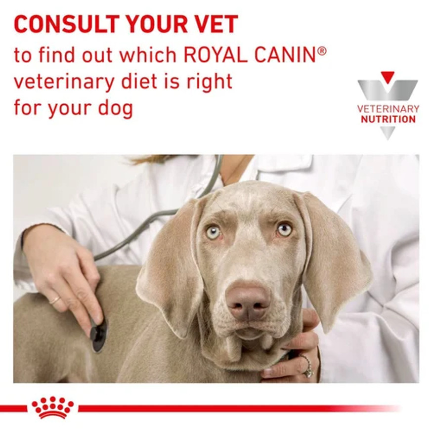 Veterinary Diets Derma Anallergenic Small Dog Torrfoder för Hund