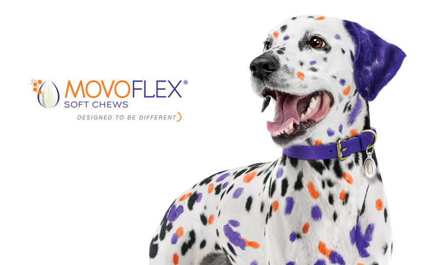 Movoflex® Tuggbitar Ledtillskott till Hund