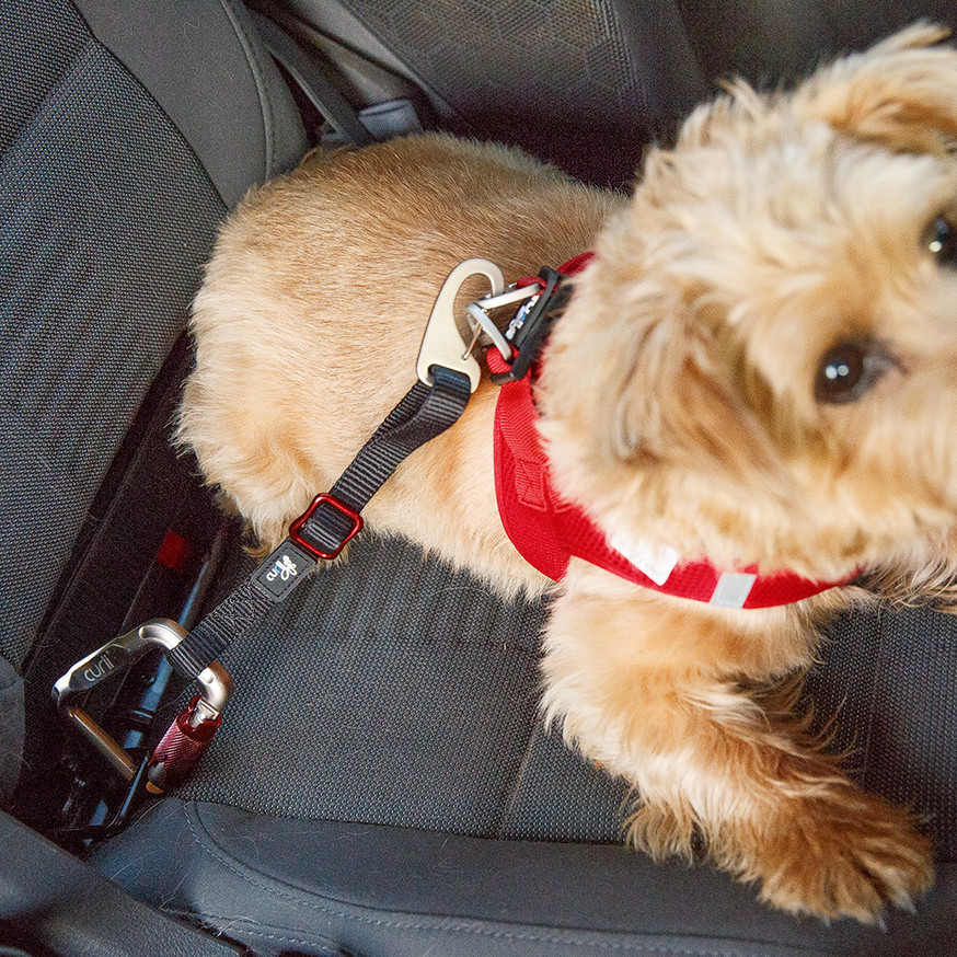 Car Safety Belt Säkerhetsbälte till Hund