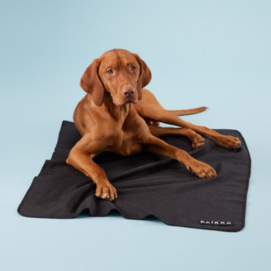 Recovery Blanket för hund - Grå 70x100cm
