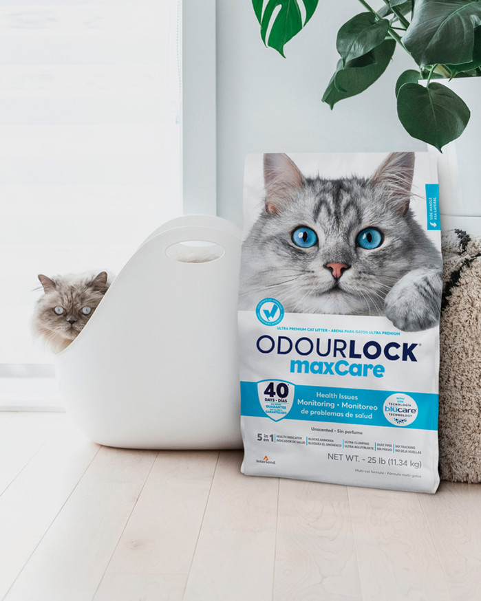 Odour Lock MaxCare Kattsand