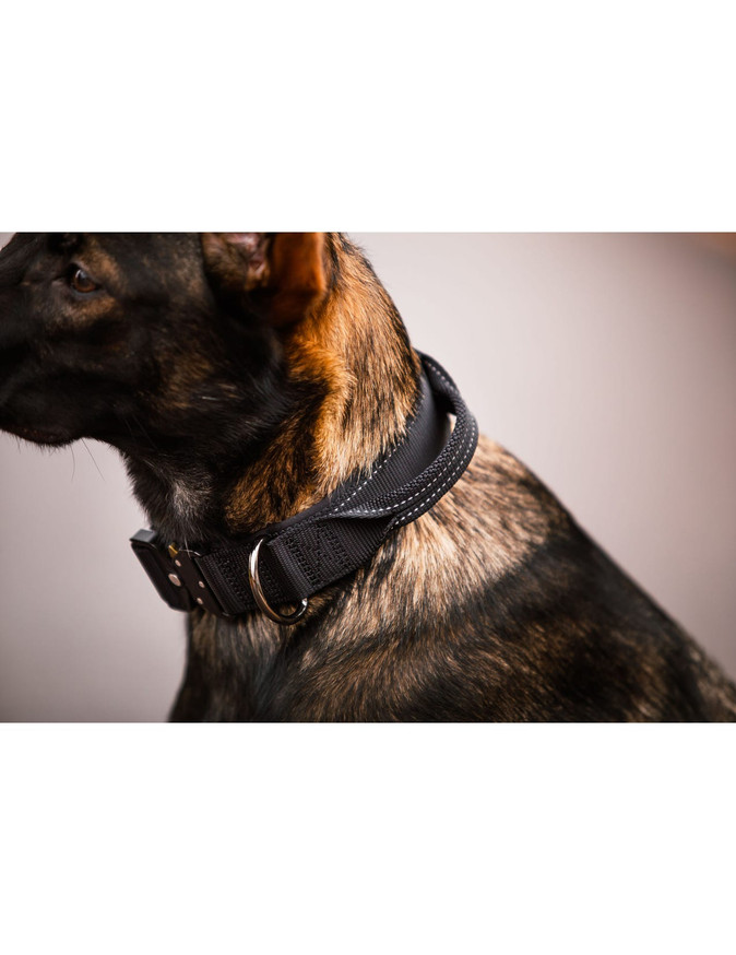 Mission Collar Hundhalsband - Svart Small