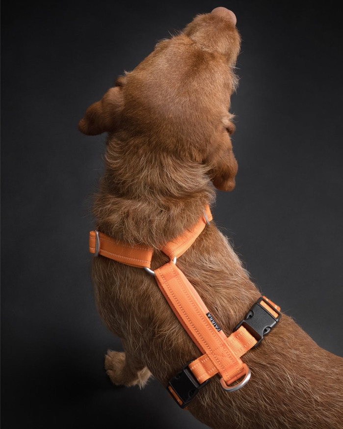 Easy Harness Reflekterande Hundsele Orange