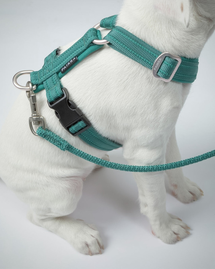 Easy Harness Reflekterande Hundsele Emerald