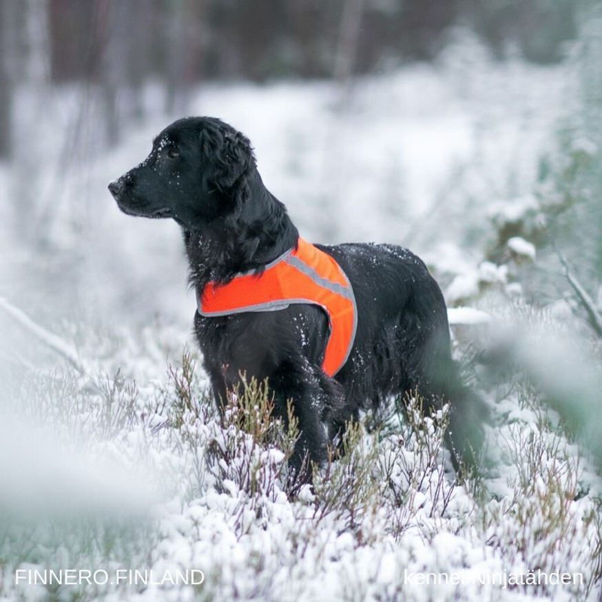 Atte Attention Vest Signalväst för Hund