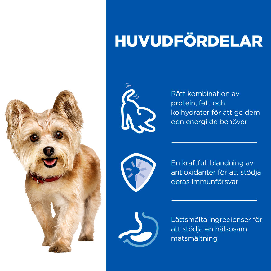 Adult Small & Mini Mousse Våtfoder till Hund