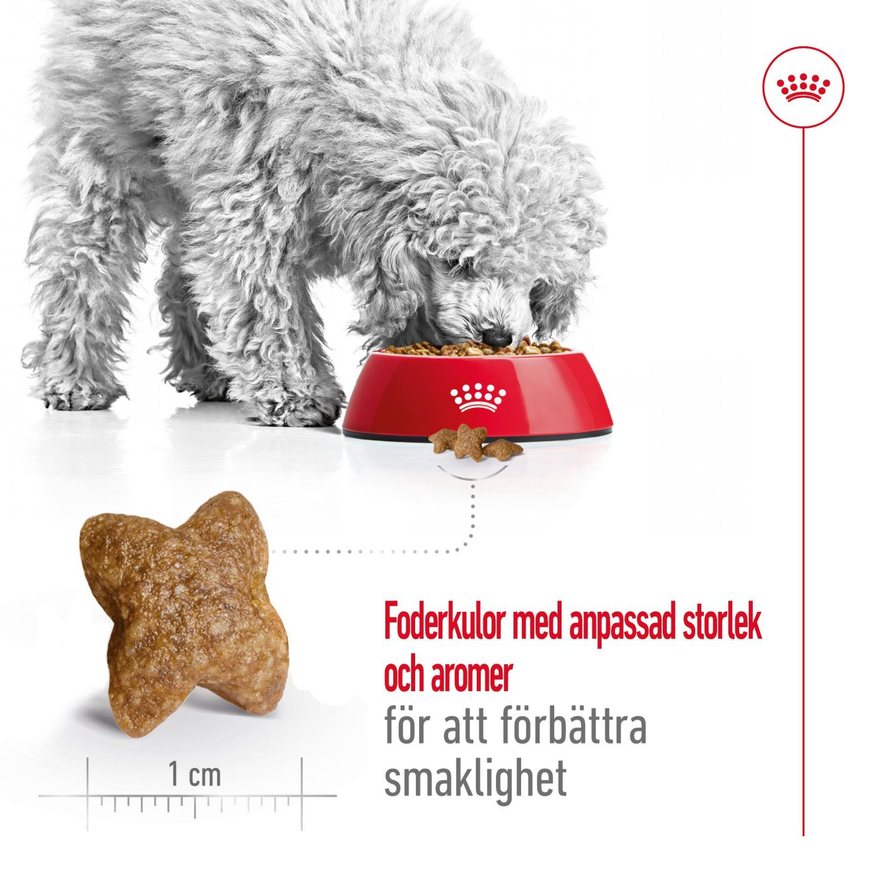 Mini Adult Torrfoder till Vuxna Hundar