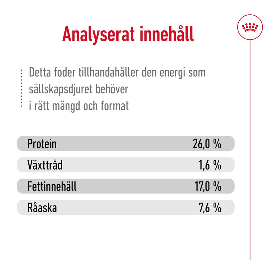 Maxi Adult Torrfoder Till Vuxna Hundar
