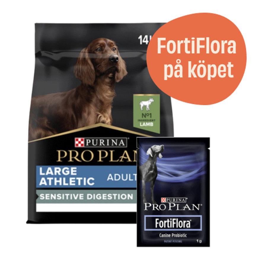 Large Athletic Adult Sensitive Digestion Lamb + 7-pack FortiFlora