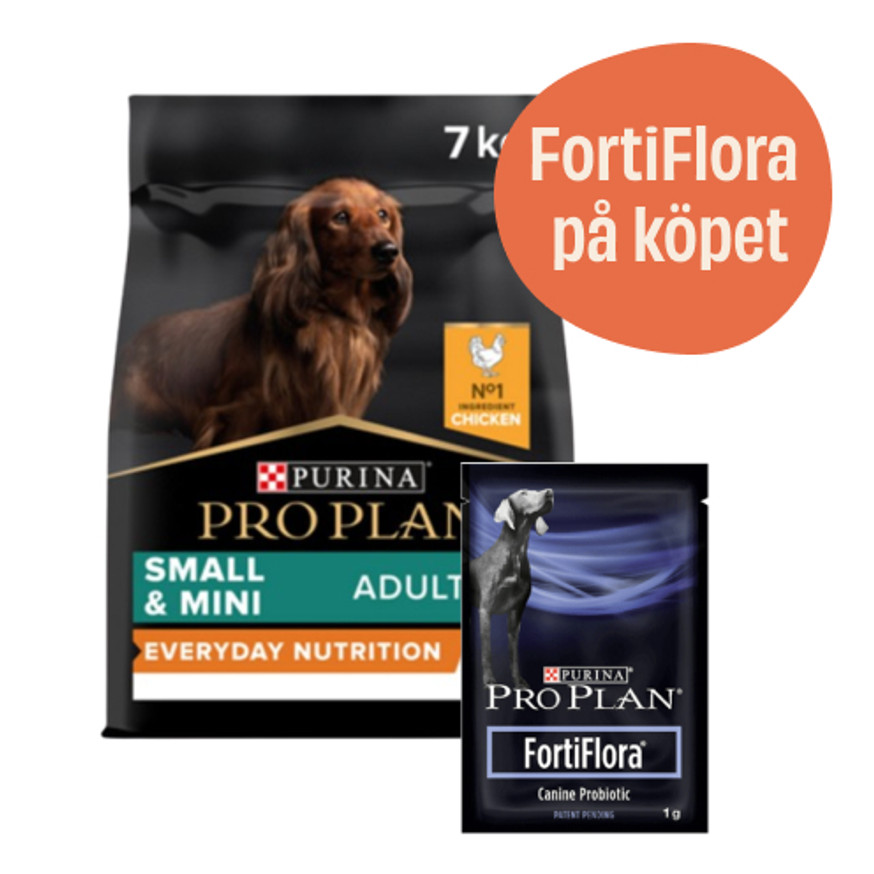 Small & Mini Adult Everyday Nutrition hundfoder + 7-pack FortiFlora